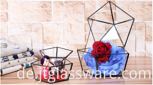 Geometric Glass Terrarium 